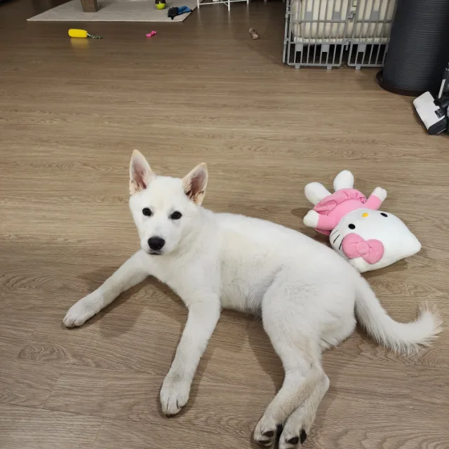 진후