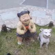 우드레곤