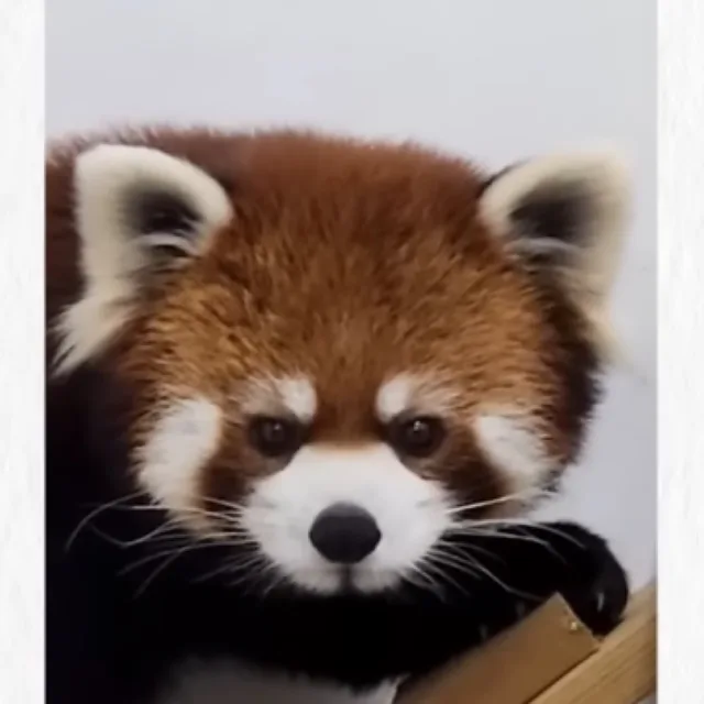 닉네임