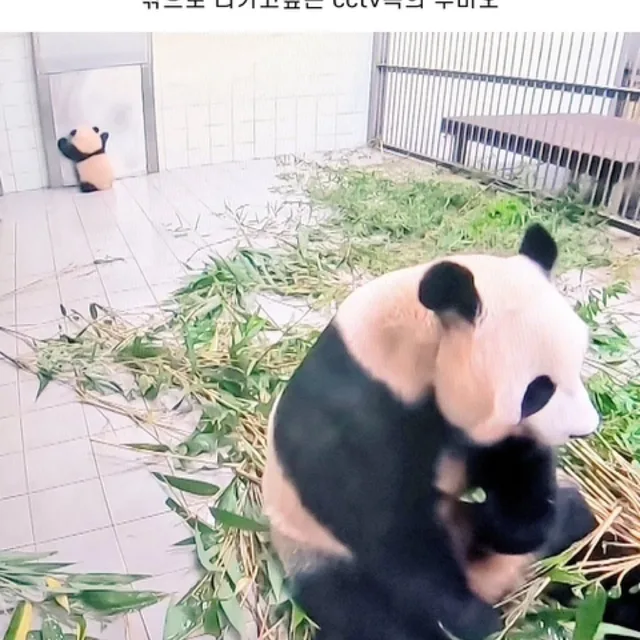 우리가좍