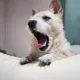 동동구링