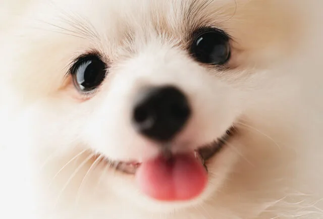 강이
