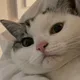 묘기