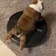 금통