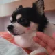 김로또