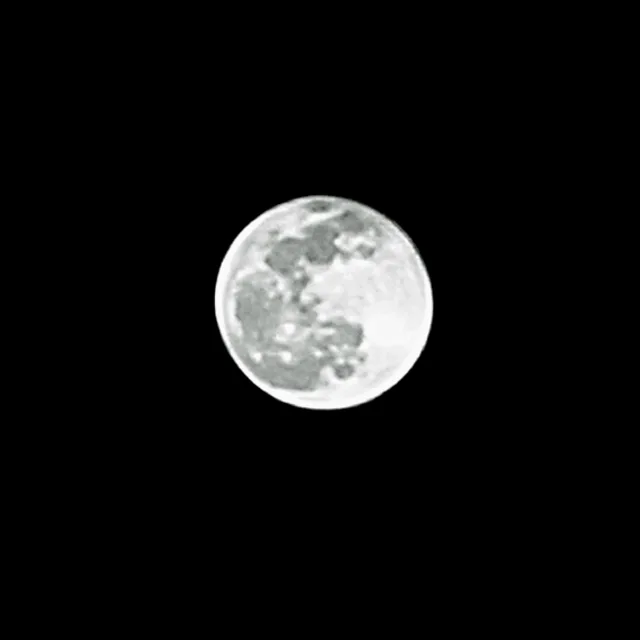 당산동지킴이