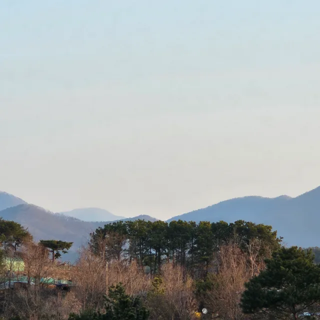개구리