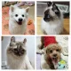 허브이야기