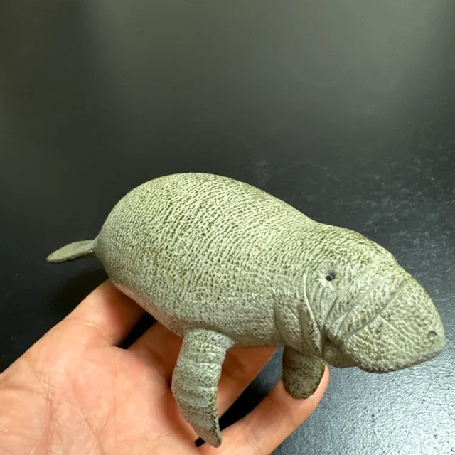 물댕댕스