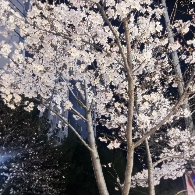 당근부터