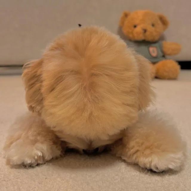 읏짜짜