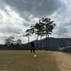 페페
