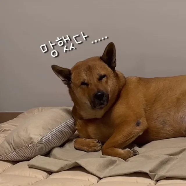 누렁이