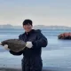 댄디