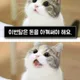 먀옹
