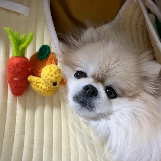이브