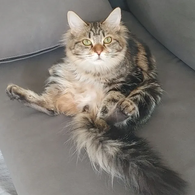 하늘