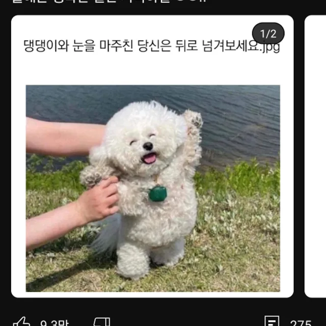 하몽찌
