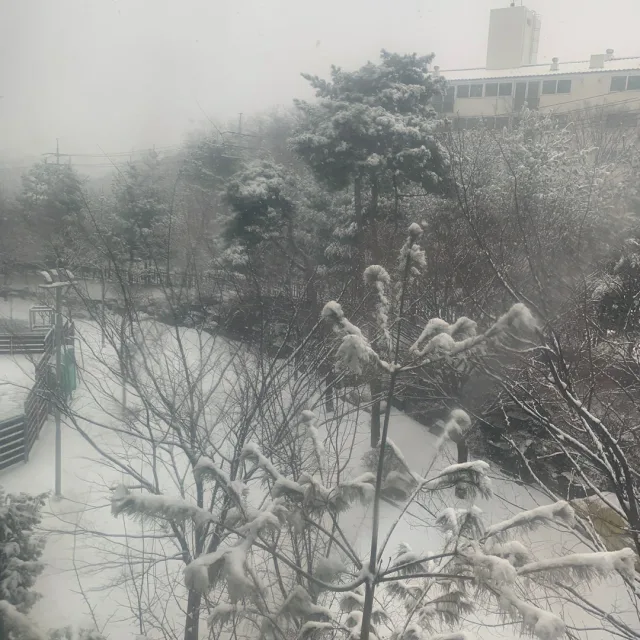 아드레난린