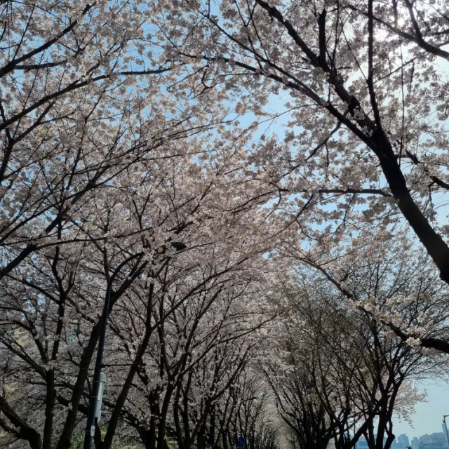 쟈니