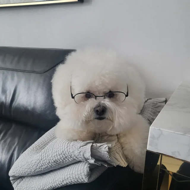 봉이아빠