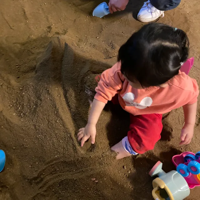 두림백도리