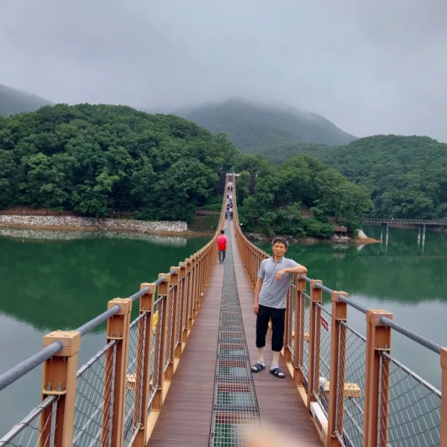 호링이