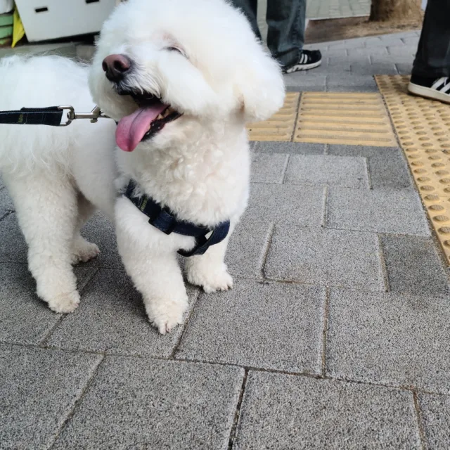 뭉치