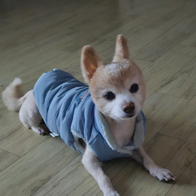 홍미루