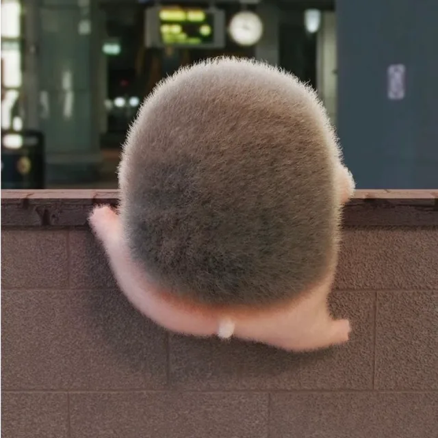 뽈록이의당근쇼핑