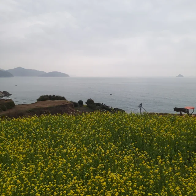 축복12ab