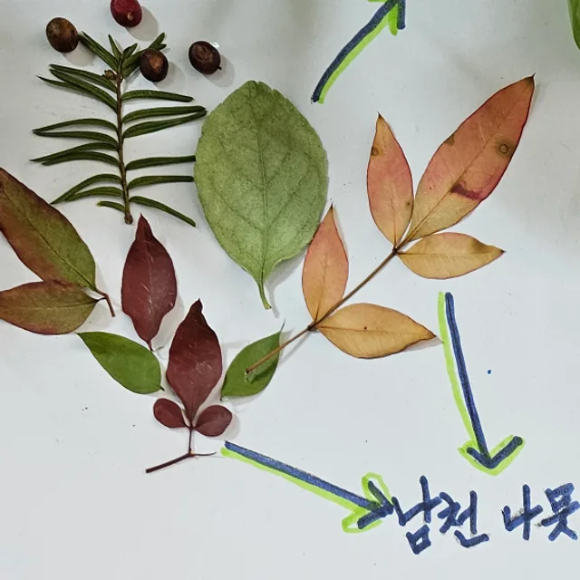 후추맘