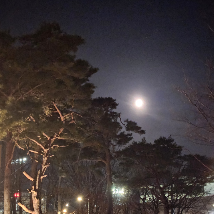 월계동입니다