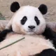 나바오