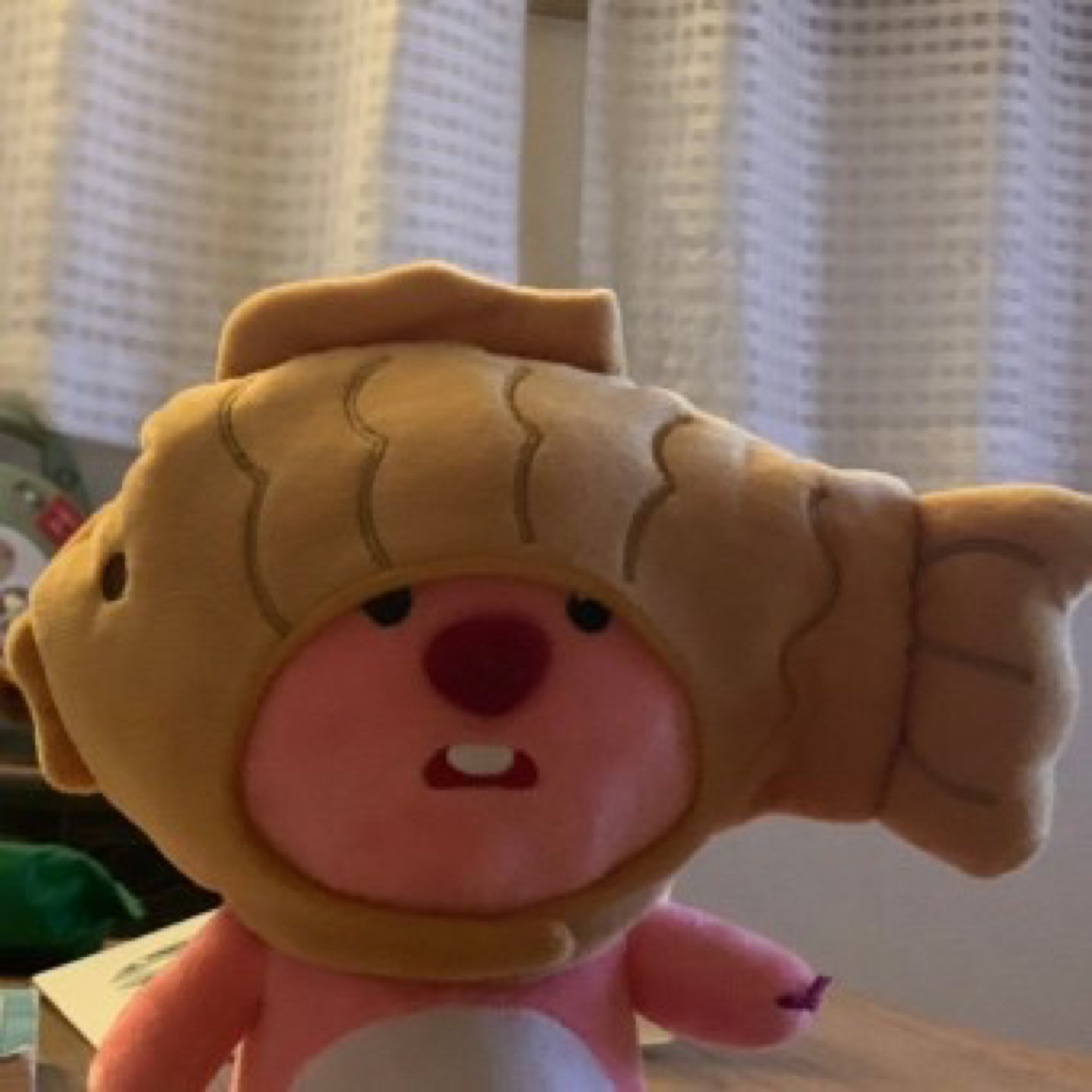 붕빙빵