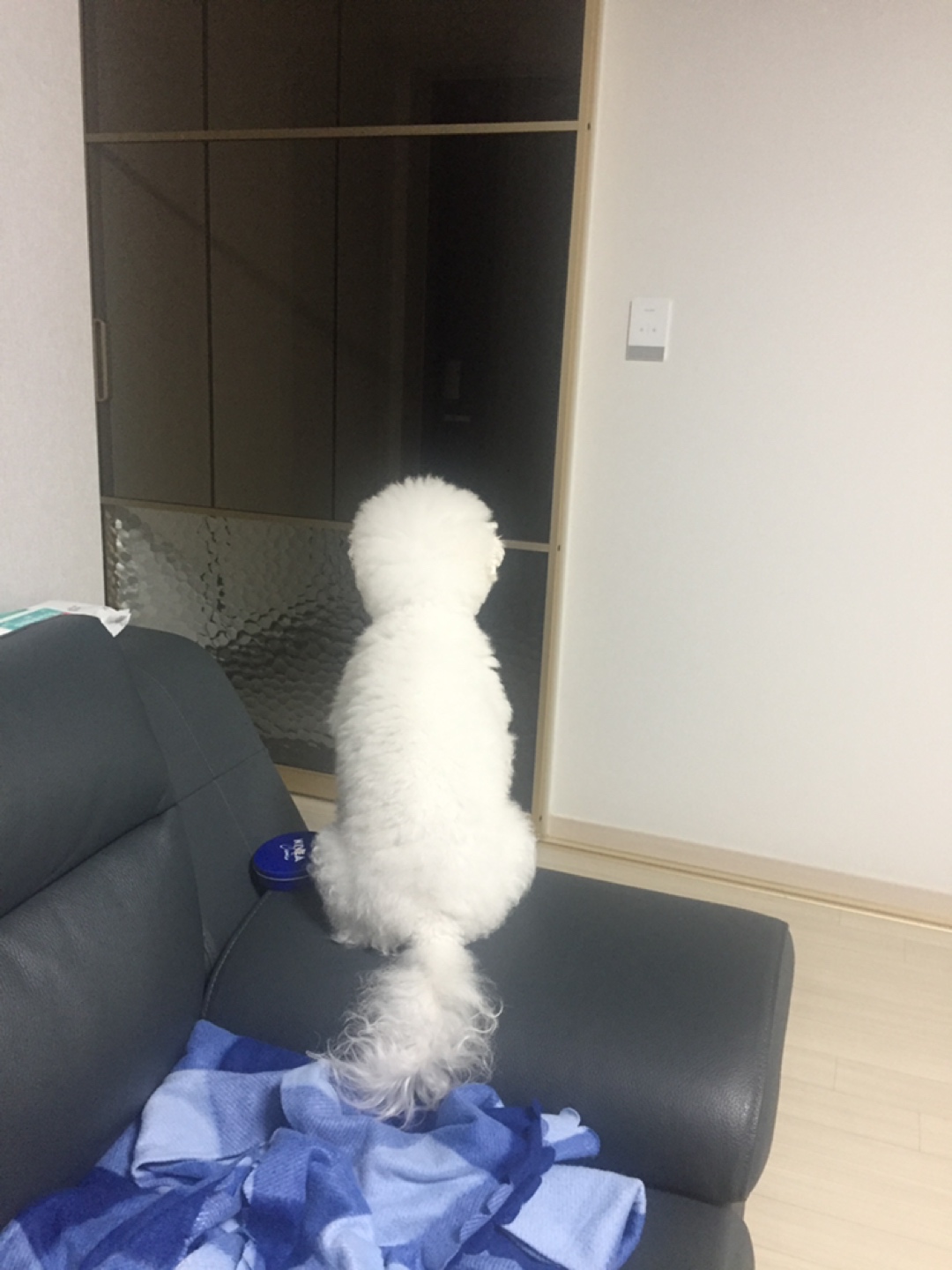 송이