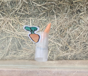 혁신맘