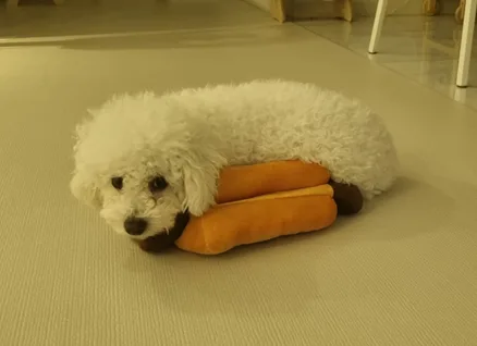 정하정필마미