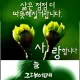 쇼핑몰