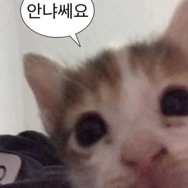 아무거나팜