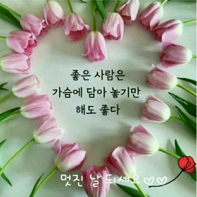 수잔