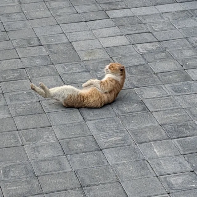 궭냟읤