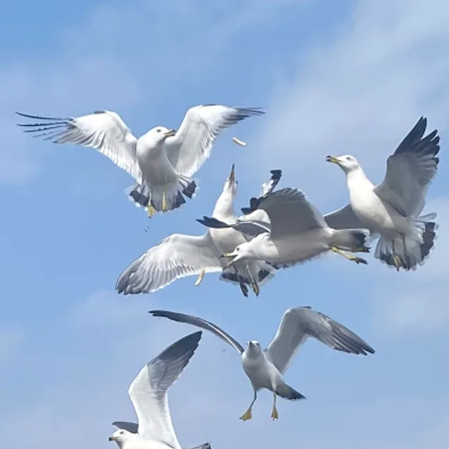걷다보면