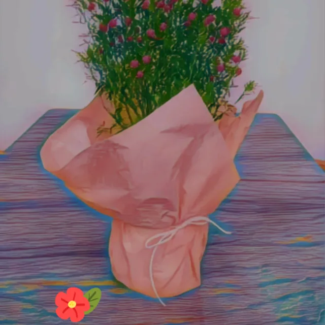 장미