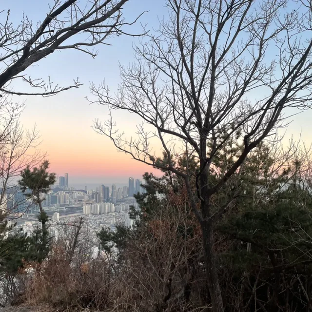 주윤리사이클