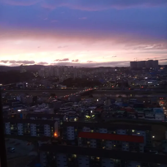 수국