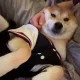 중고왕