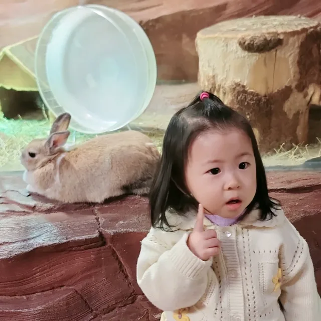 꼬미베어