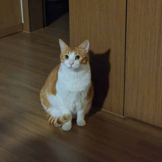 집사