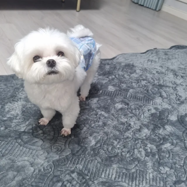 해주